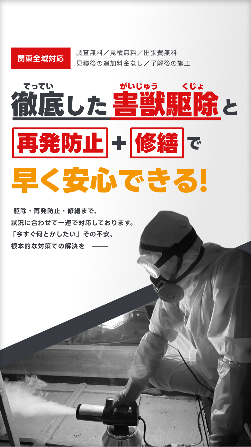 トライアルプランのご案内