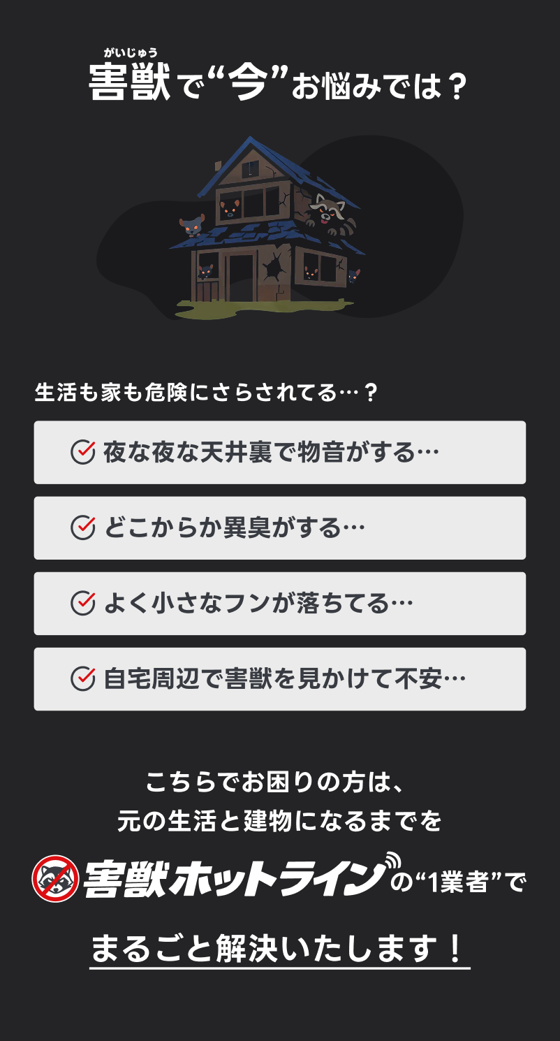 トライアルプランのご案内