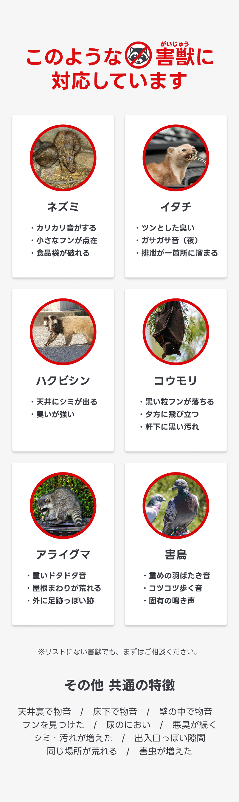 トライアルプランのご案内