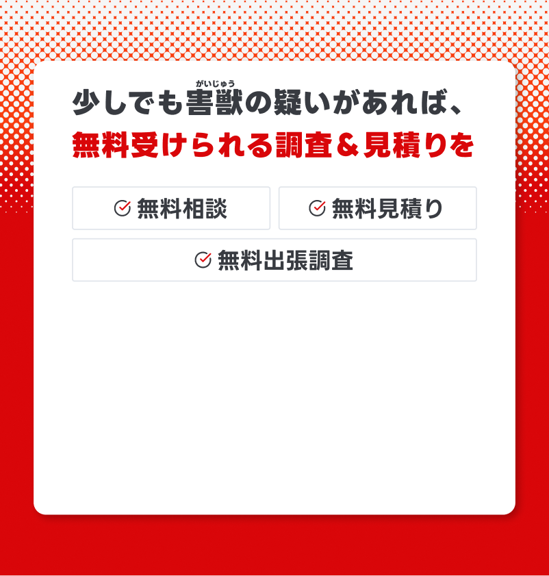 トライアルプランのご案内