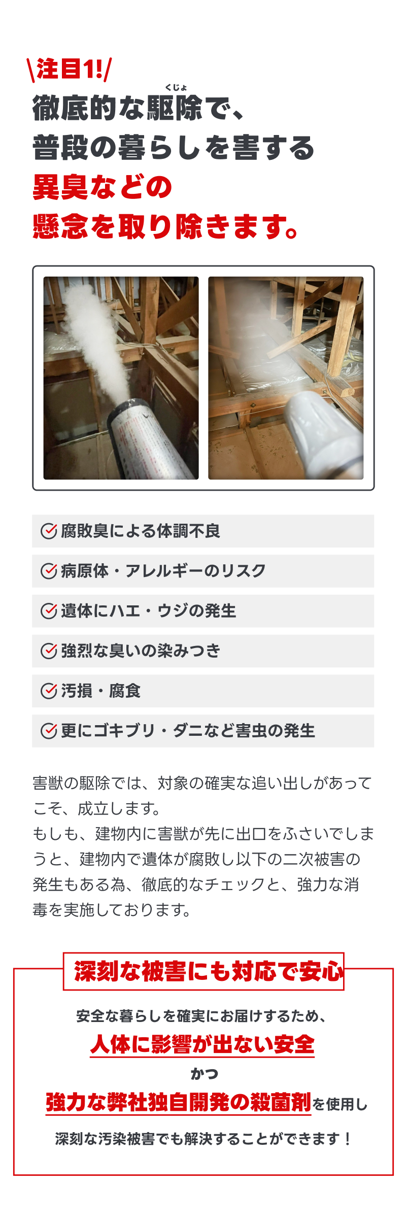 トライアルプランのご案内