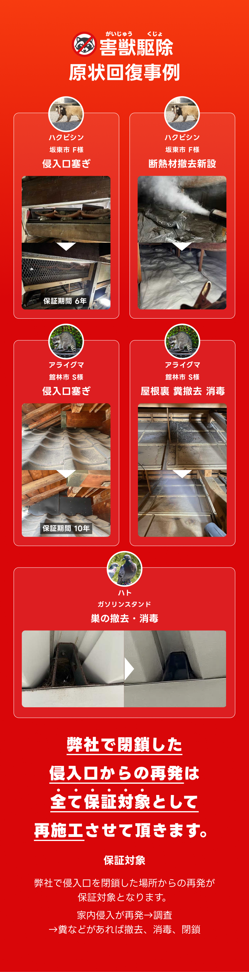 トライアルプランのご案内