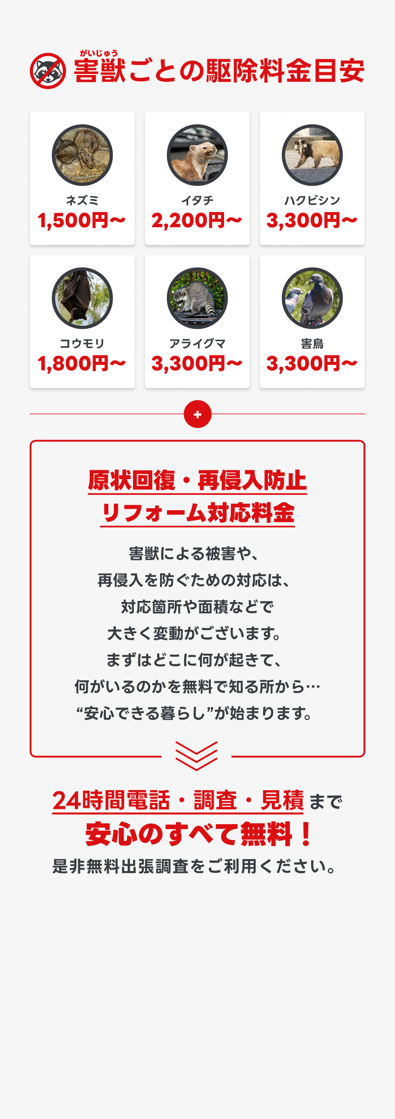 トライアルプランのご案内